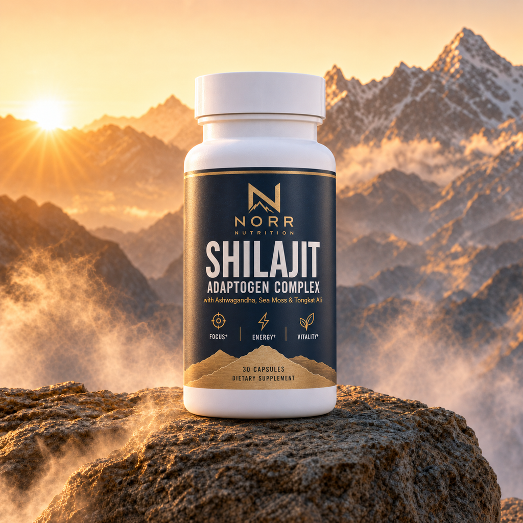 Norr Shilajit Adaptogen Complex bottle on a rock at sunrise, mountains behind
